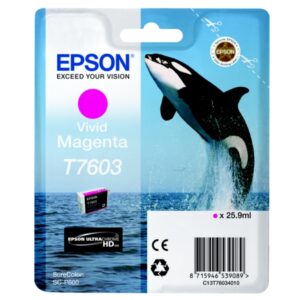 Original Epson C13T76034010 / T7603 Tintenpatrone magenta